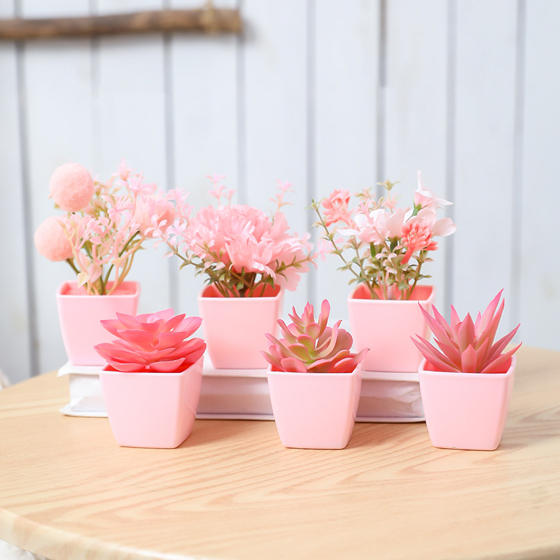 6 pièces de mini plantes en po - Badminton Live avis et prix
