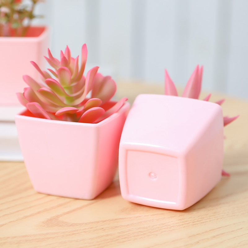 6 pièces de mini plantes en po - Badminton Live avis et prix