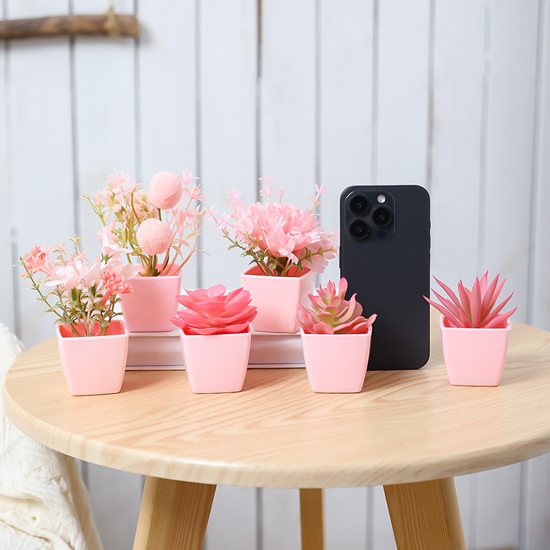 6 pièces de mini plantes en po - Badminton Live avis et prix