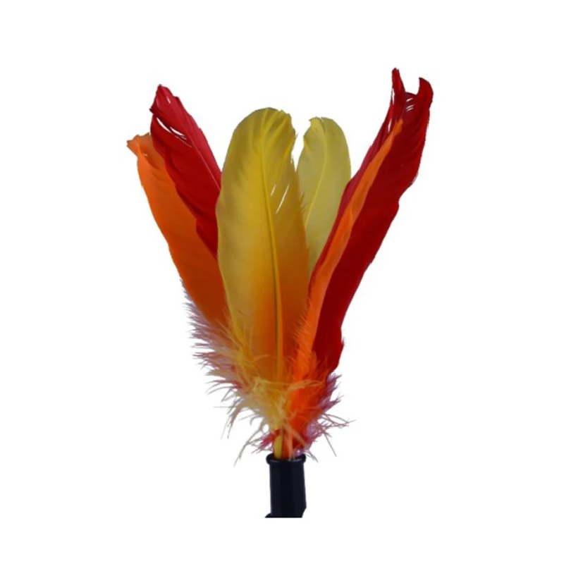 Volant de badminton Beach Pete - Badminton Fun Game avis et prix